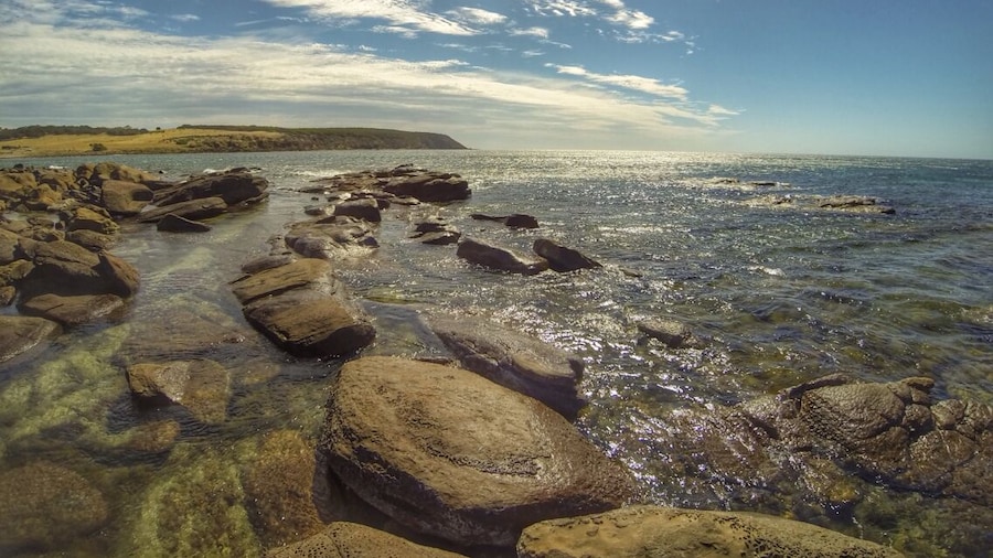 Beautiful hidden gem along the northern coast of Kangaroo Island. Walk through a cave and discover this beautiful stretch of beach.