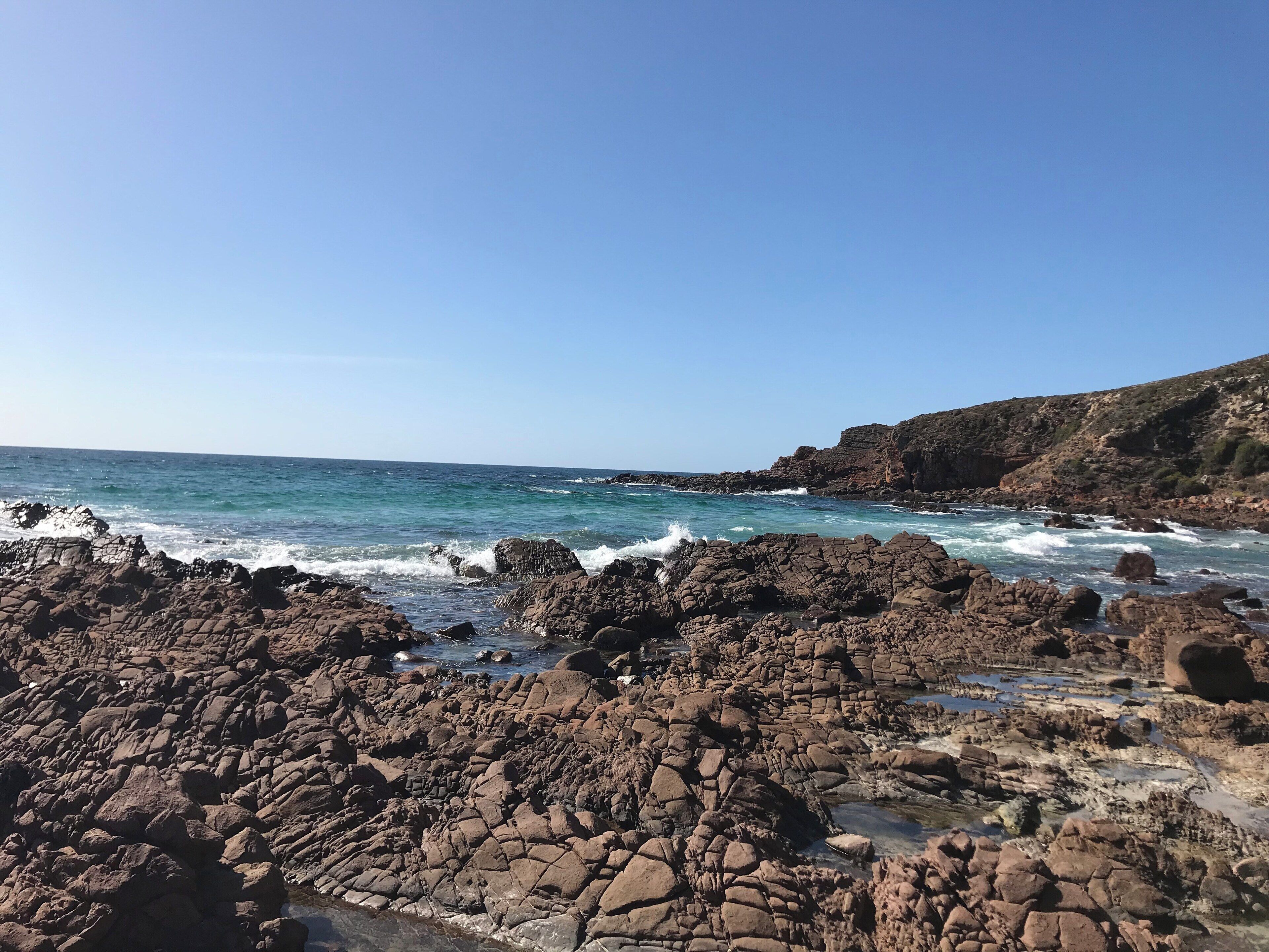 Kangaroo Island 🇦🇺🌴🦘