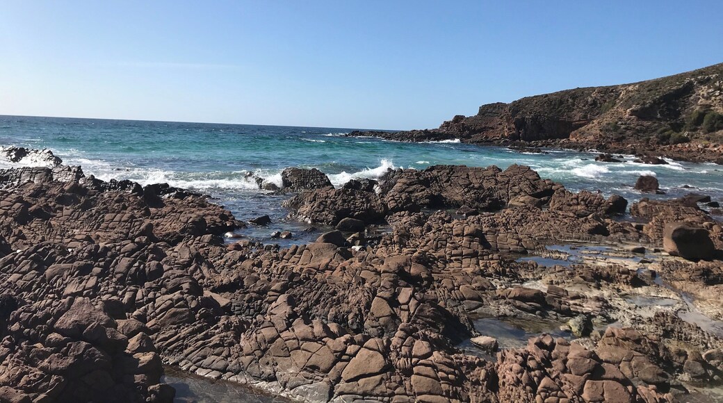 Kangaroo Island 🇦🇺🌴🦘