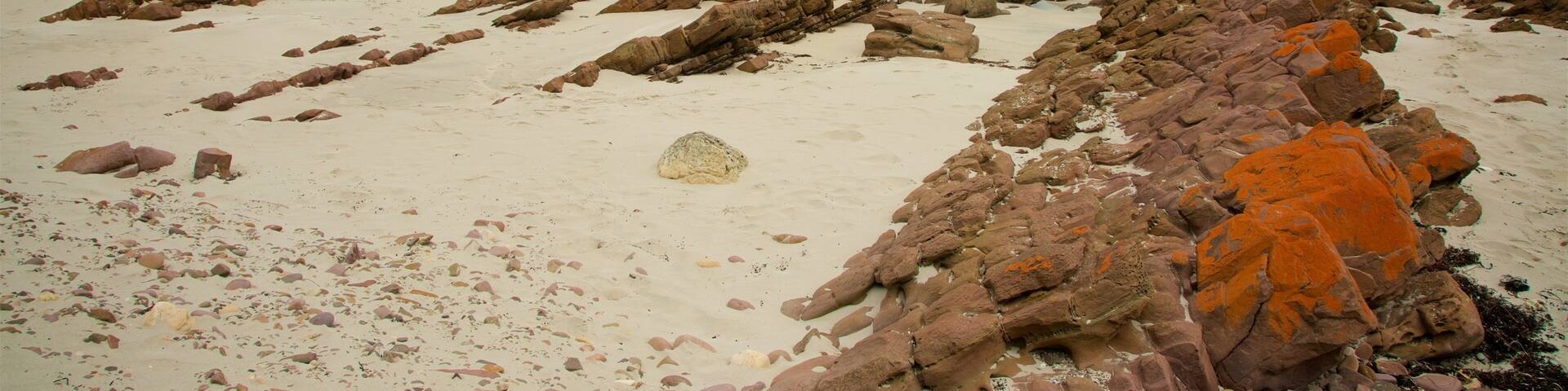 A rocky beach with white sand and turquoise water.