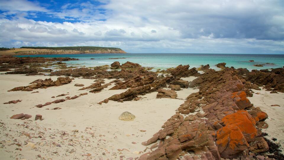 A rocky beach with white sand and turquoise water.