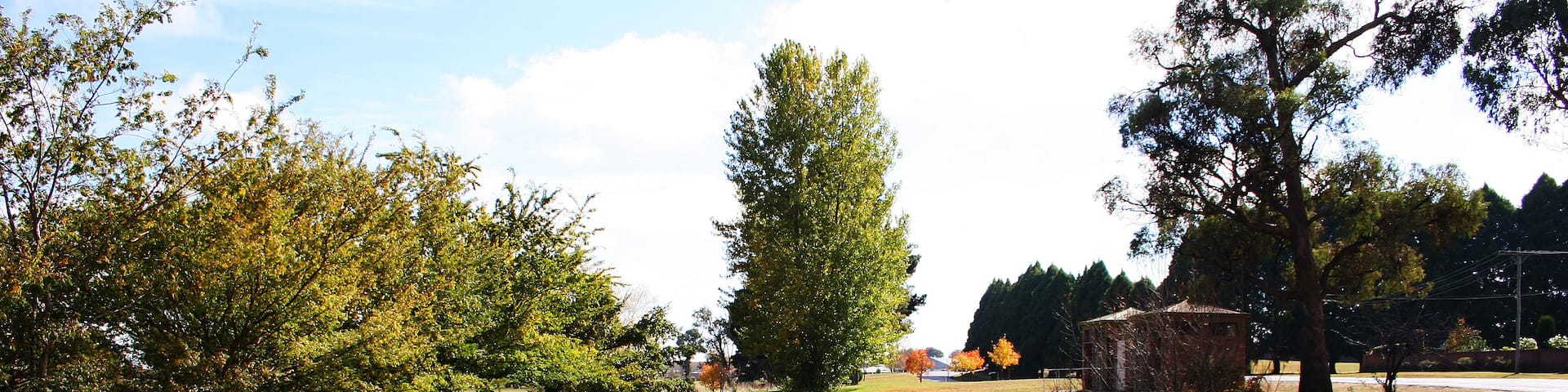 The duckpond in Guyra. Australia.