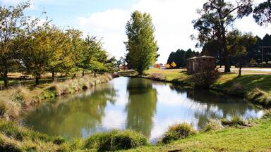 The duckpond in Guyra. Australia.