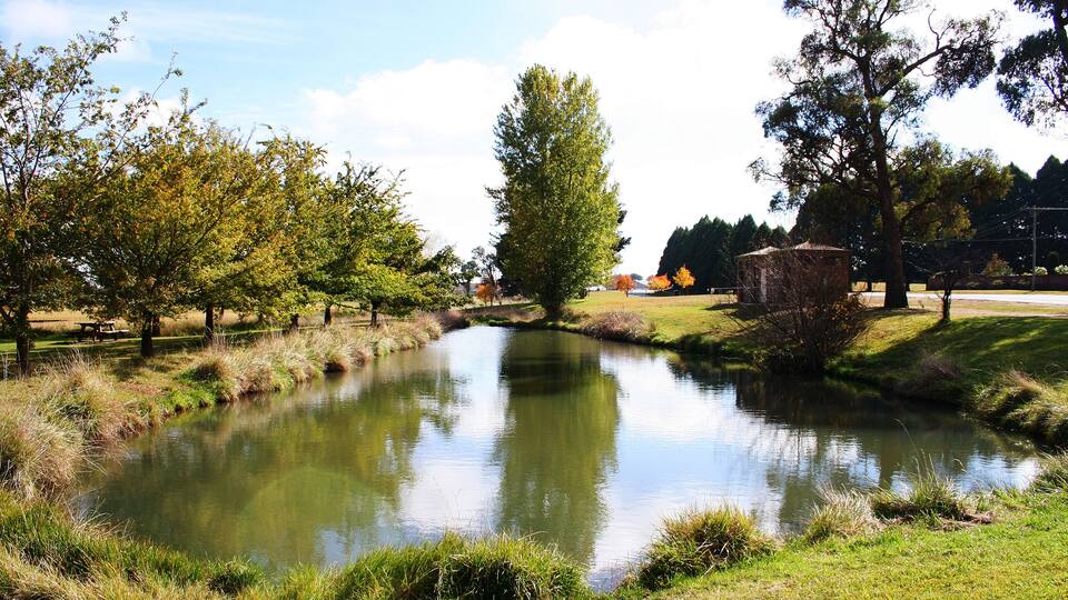 The duckpond in Guyra. Australia.
