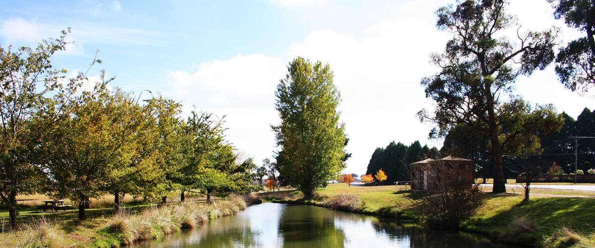 A calm pond surrounded by trees and grass.