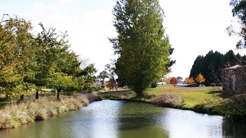 A duckpond in Guyra. Australia.