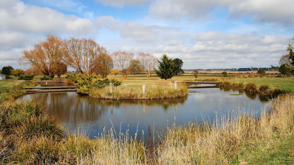 A bend in the duckpond at Guyra. Australia.