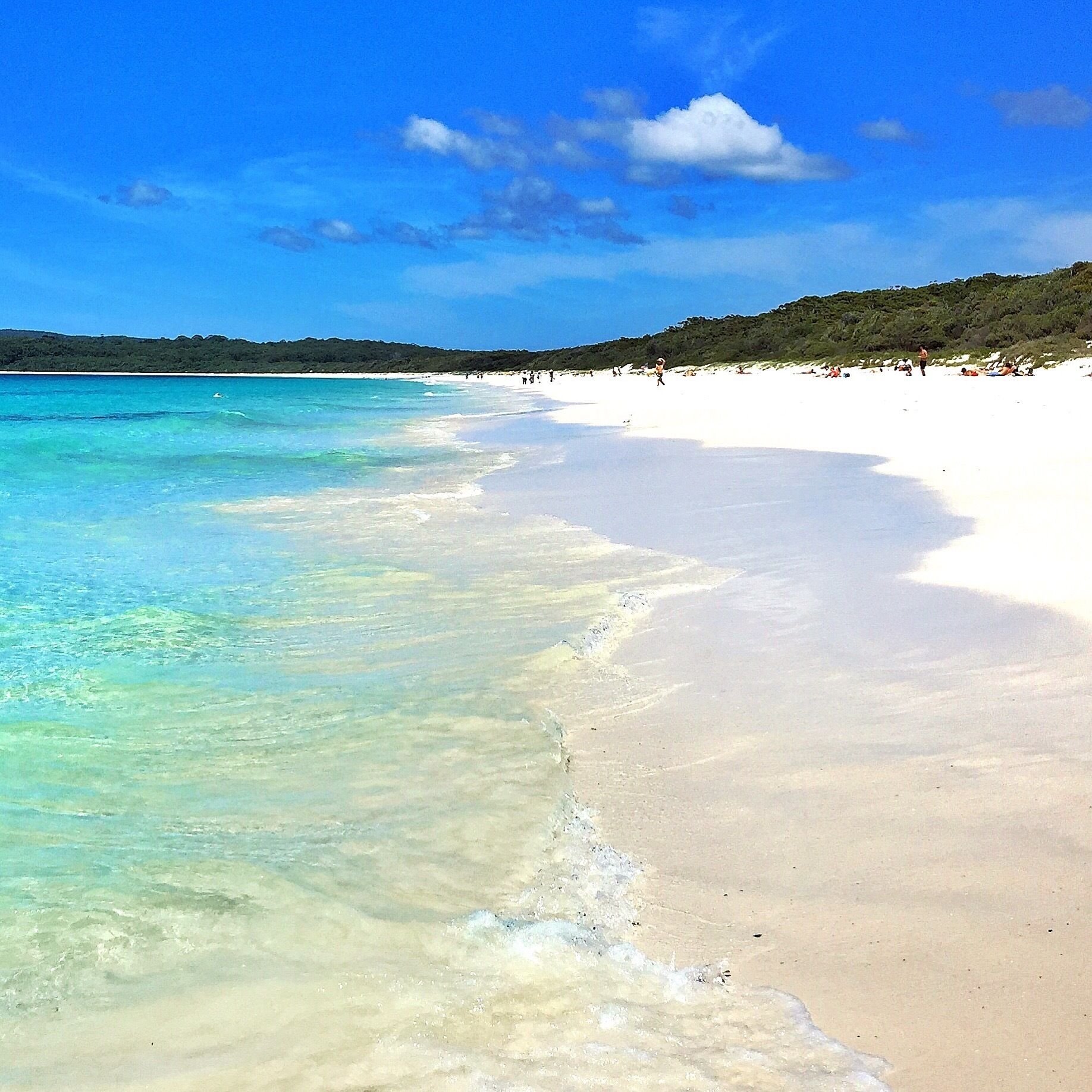 The home of the whitest sand in the world according to the Guiness Book of Records, Hyams Beach! 😀
#NationalPark
