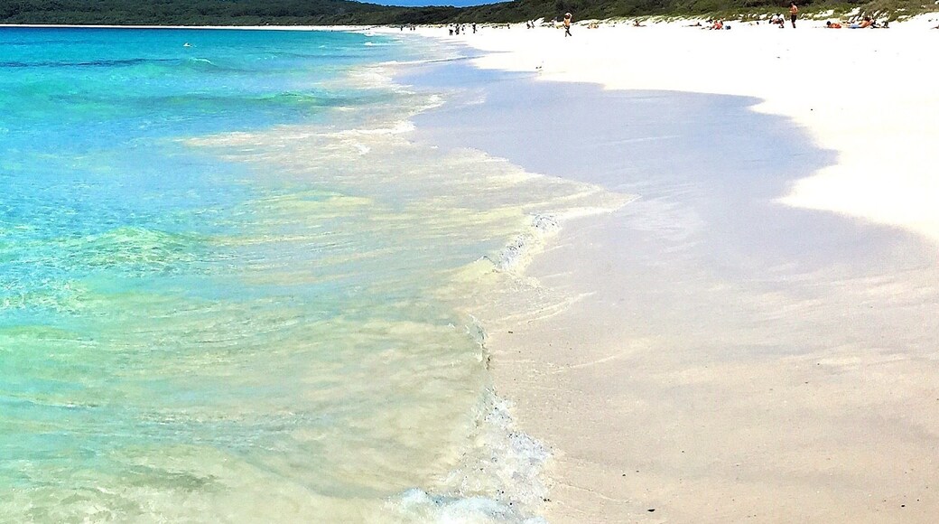 The home of the whitest sand in the world according to the Guiness Book of Records, Hyams Beach! 😀
#NationalPark