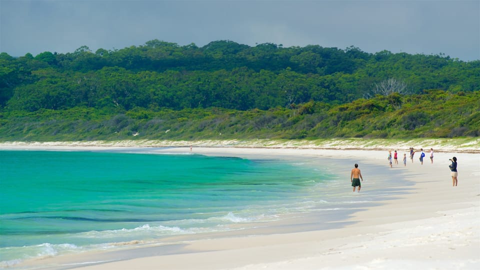 A beach with turquoise water, white sand, and a forested hill in the background.