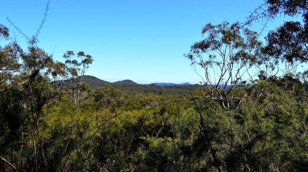 Welcome to Brisbane Waters National Park. Rich in culture and untouched beauty.