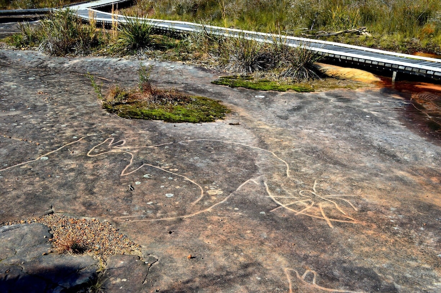 It's NAIDOC Week and thought we would celebrate with a walk to see some amazing Aboriginal Art work which is standing the test of time.
I have copied the following information from the National Parks website to provide you with accurate information. The photos are my own. smile emoticon I recommend a visit to this special place.
BULGANDRY.
"Bulgandry Aboriginal art site in Brisbane Water National Park is a special landscape, rich in ancient Aboriginal rock art of the Guringai People. Thereâs a wide range of well-preserved engravings to see; most of them are more than 200 years old with many perhaps ten times that age.
The name Bulgandry belongs to the large engraving of a man thought to represent an ancestral hero, depicted with an impressive headdress.
Youâll also see wallabies, fish, a dolphin and whatâs thought to be a canoe and a bird. Keep walking to see some stone tool sharpening grooves nearby, or simply take in the siteâs beautiful bush surroundings.
Indigenous sites such as Bulgandry provide valuable insight into Aboriginal traditions, past lifestyles and previous interactions with the environment. These sites are an important part of present-day Aboriginal culture, so please remember to tread carefully and with respect."
http://www.nationalparks.nsw.gov.au/âŠ/Bulgandry-Aboriginal-âŠ
âȘ#âBulgandryâŹ#aboriginalartsite#centralcoast#NSW