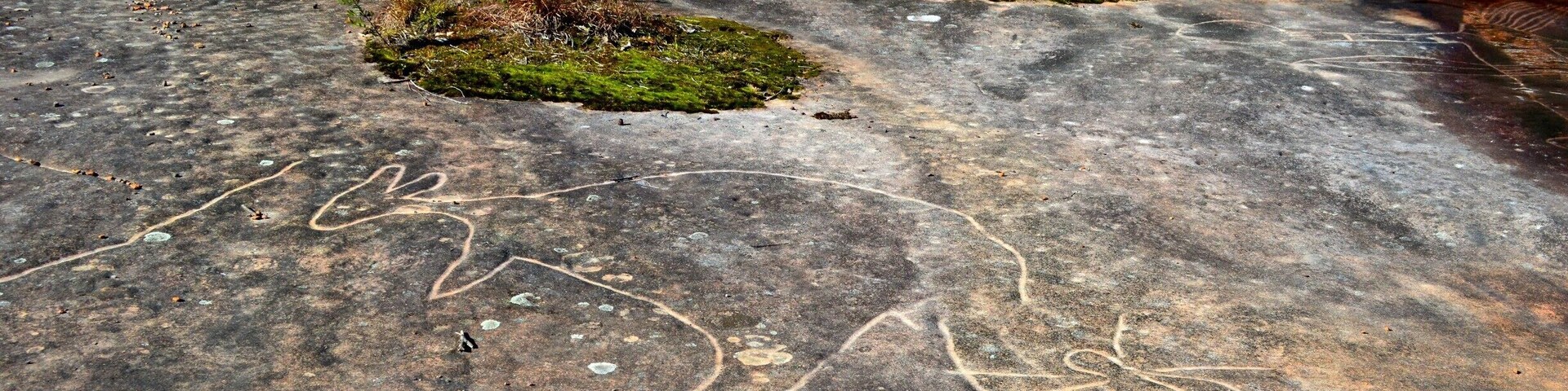It's NAIDOC Week and thought we would celebrate with a walk to see some amazing Aboriginal Art work which is standing the test of time.
I have copied the following information from the National Parks website to provide you with accurate information. The photos are my own. smile emoticon I recommend a visit to this special place.
BULGANDRY.
"Bulgandry Aboriginal art site in Brisbane Water National Park is a special landscape, rich in ancient Aboriginal rock art of the Guringai People. There’s a wide range of well-preserved engravings to see; most of them are more than 200 years old with many perhaps ten times that age.
The name Bulgandry belongs to the large engraving of a man thought to represent an ancestral hero, depicted with an impressive headdress.
You’ll also see wallabies, fish, a dolphin and what’s thought to be a canoe and a bird. Keep walking to see some stone tool sharpening grooves nearby, or simply take in the site’s beautiful bush surroundings.
Indigenous sites such as Bulgandry provide valuable insight into Aboriginal traditions, past lifestyles and previous interactions with the environment. These sites are an important part of present-day Aboriginal culture, so please remember to tread carefully and with respect."
http://www.nationalparks.nsw.gov.au/…/Bulgandry-Aboriginal-…
#Bulgandry#aboriginalartsite#centralcoast#NSW