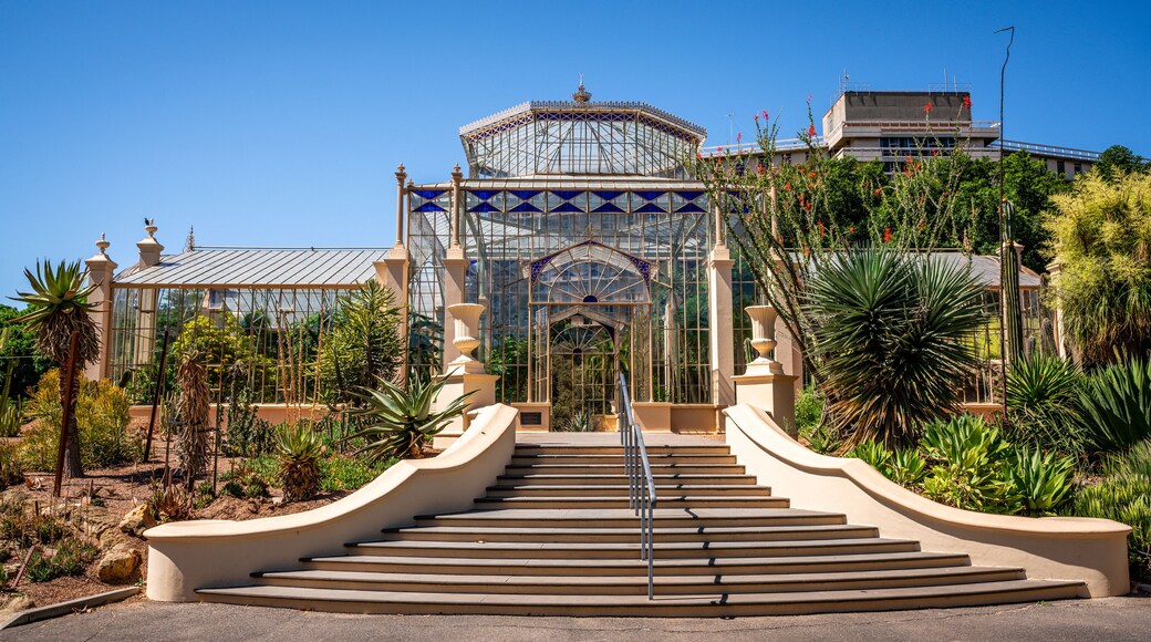 Adelaide botanic garden 1877 palm house exterior view a Victorian glasshouse in Adelaide Australia
