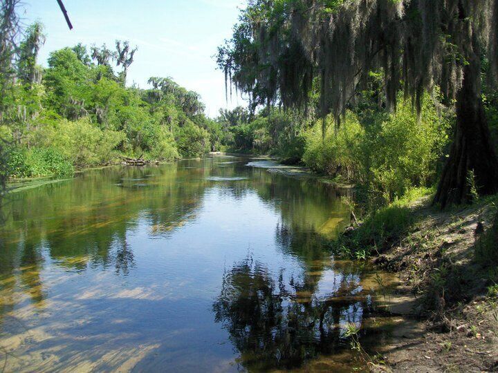 Peace River, FL, lazy day calm.
