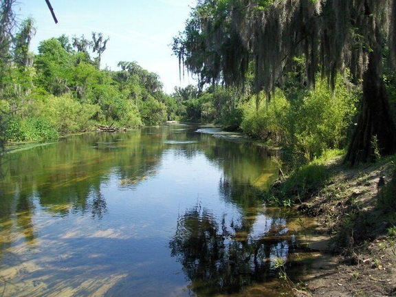 Peace River, FL, lazy day calm.