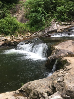 The pool