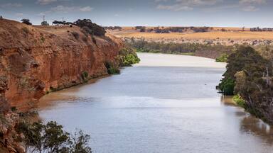 Landscape view of orange sandstone cliffs on the mighty Murray River near Young Husband in South Australia