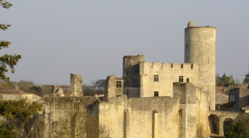 Château de Rauzan (33 Gironde France)