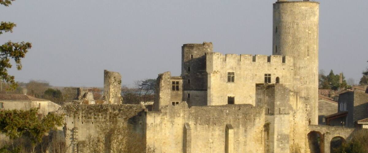 A medieval castle with a tall tower and a fortified wall.