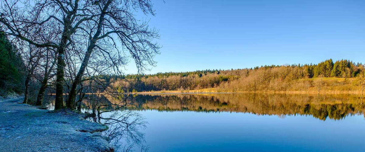 A calm lake with reflections of trees and a clear sky.