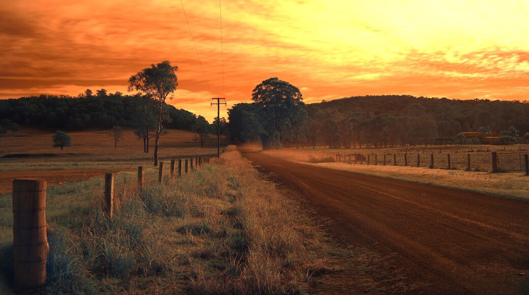Australian Country road Nabiac in infrared