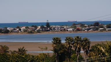 Looking out from Athenree into Bowentown you see the two oceanliners lining up such a fantastic view.
#greatoutdoors