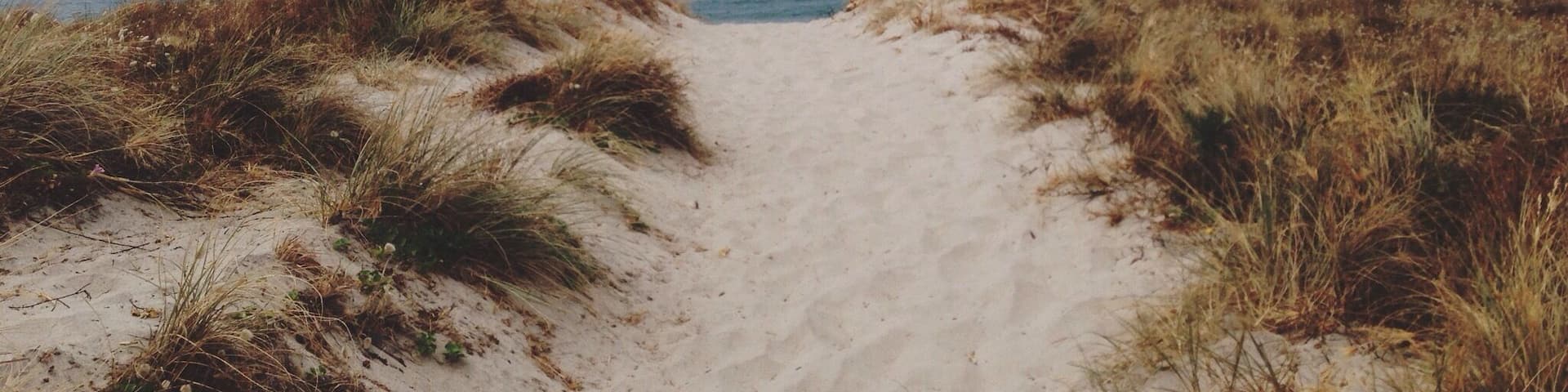 The path that leads to the Sea is the path that leads to happiness #BeachBound