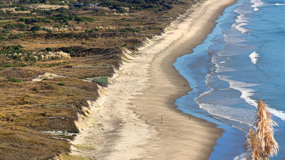 Waihī Beach, New Zealand, viewed from Bowentown Lookout. One of New Zealand's safest surf beaches.
