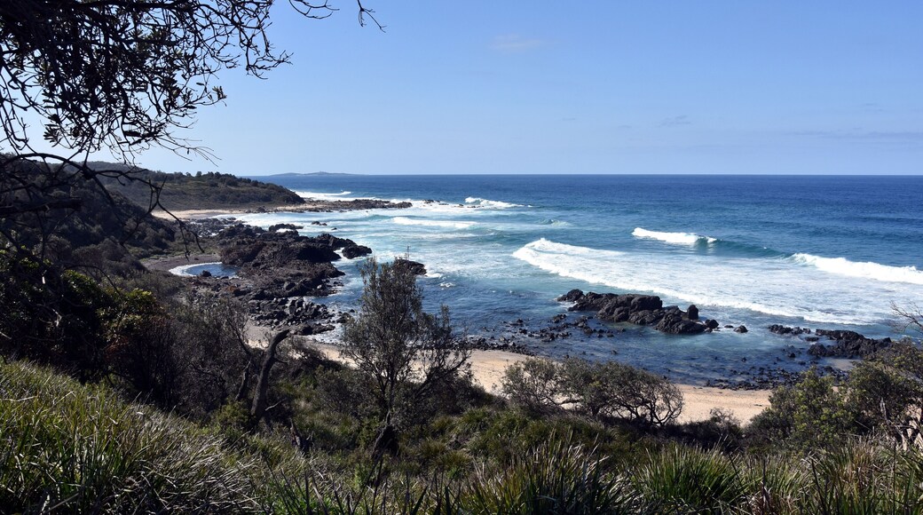 Mystery Bay
