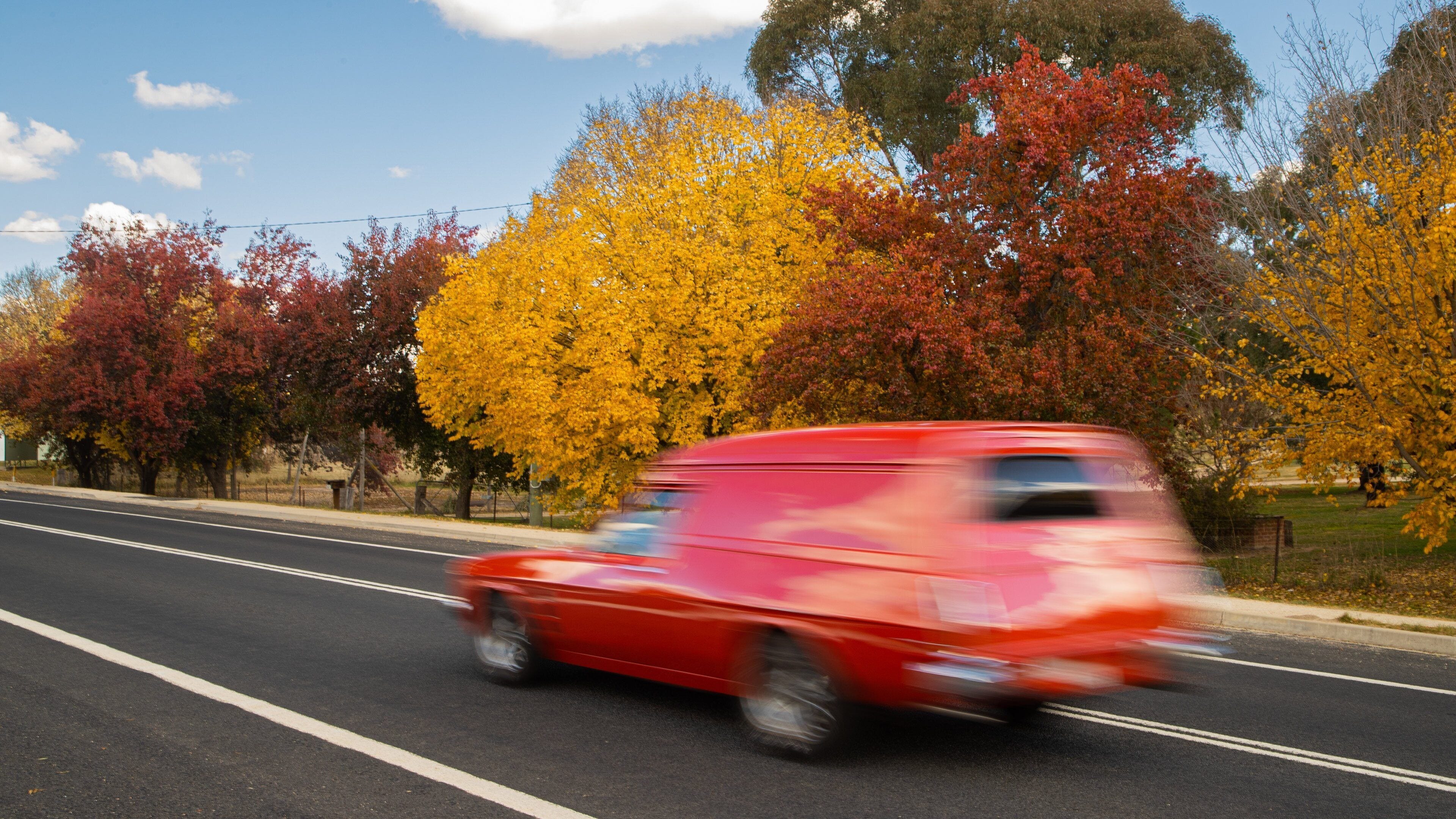 O\'connell showing autumn leaves