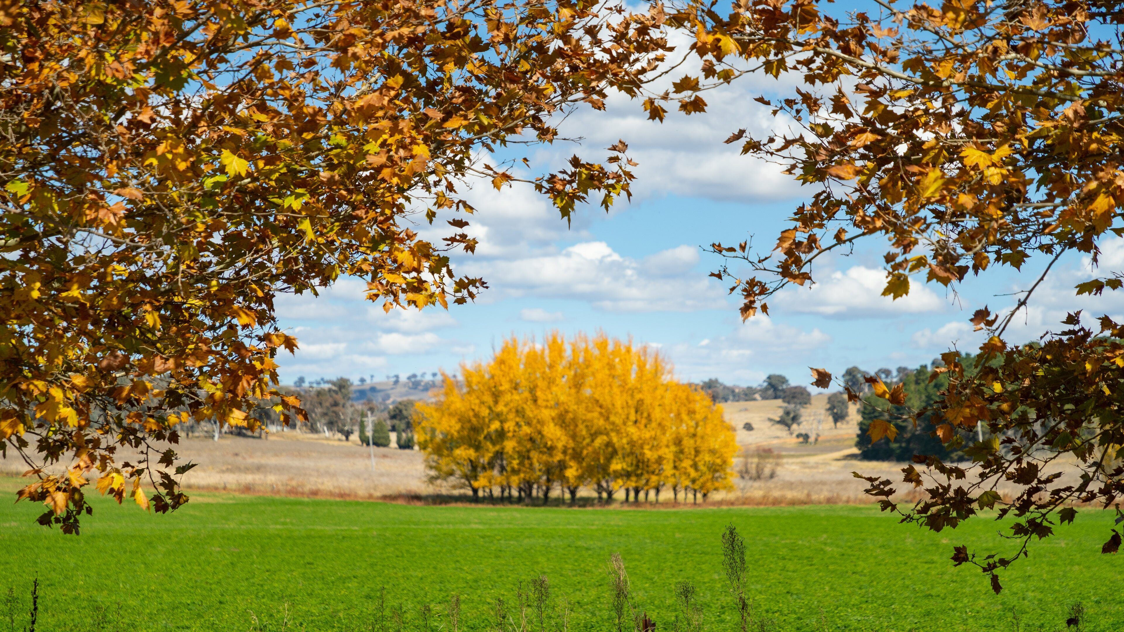 O\'connell showing tranquil scenes