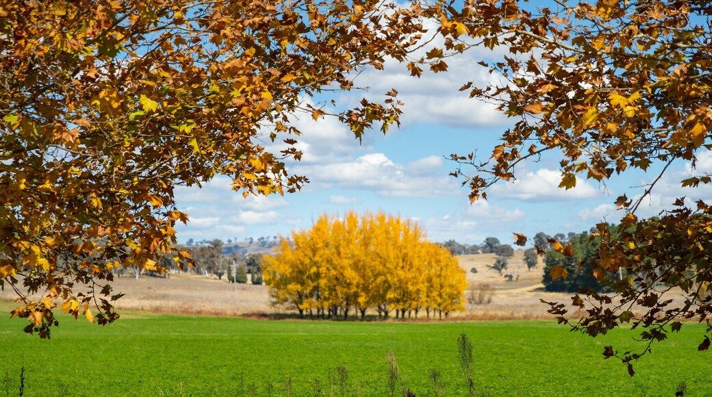 O\'connell showing tranquil scenes