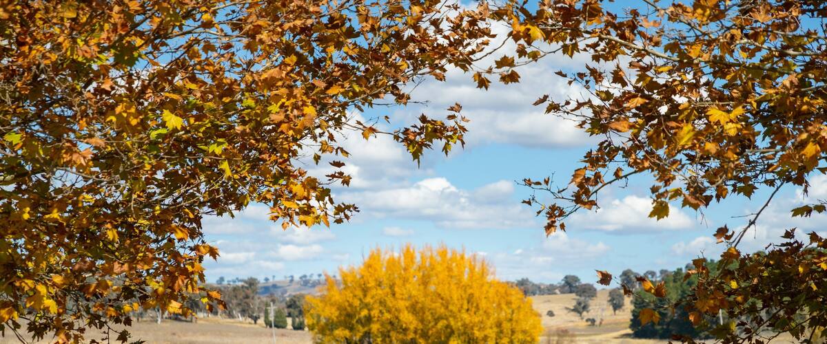 O\'connell showing tranquil scenes