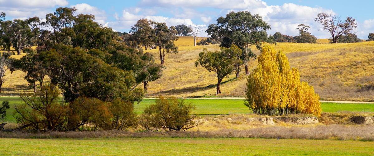 O\'connell featuring tranquil scenes