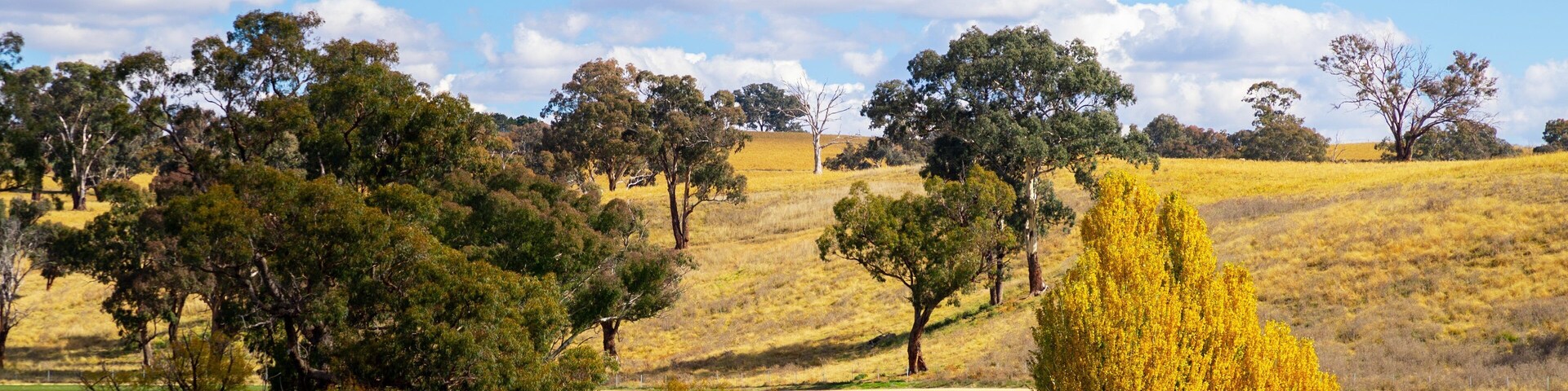 O\'connell featuring tranquil scenes