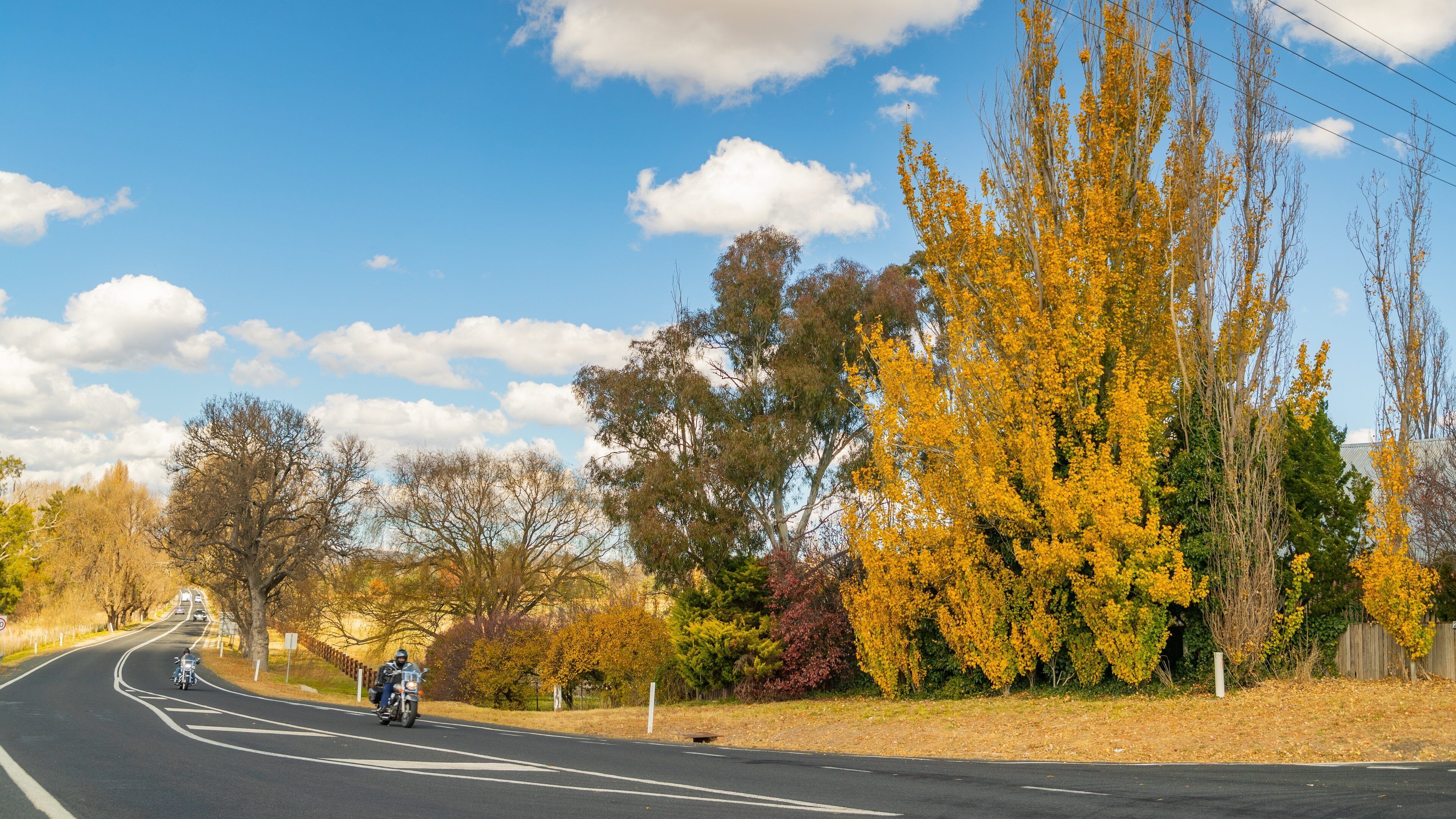 O\'connell featuring fall colors, tranquil scenes and motorbike riding