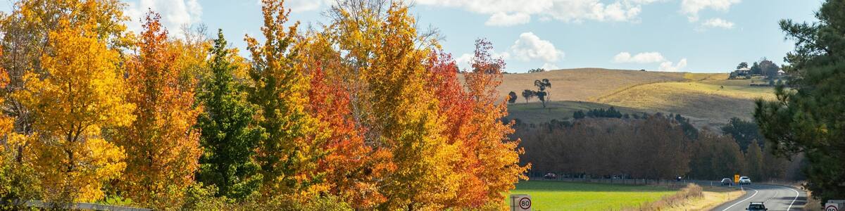 O\'connell which includes fall colors and tranquil scenes