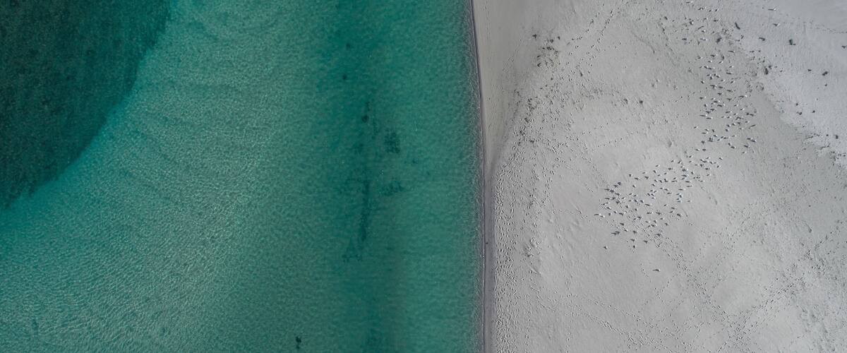 A turquoise sea meeting a sandy beach.