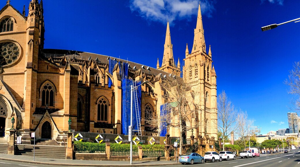 SYDNEY - AUGUST 19, 2018: St Mary's Cathedral on a beautiful sunny day