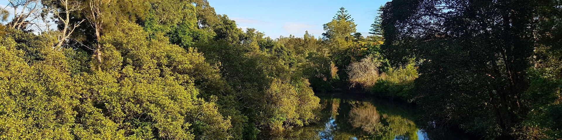 Browns Creek, Taree, New South Wales, Australia landscape