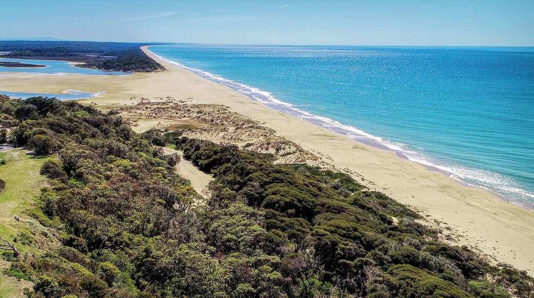 Aerial shot of the beach at Lake Tyers Beach in Victoria