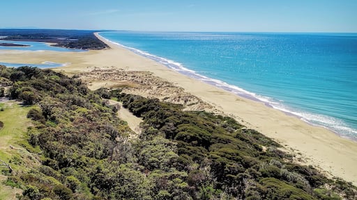 Aerial shot of the beach at Lake Tyers Beach in Victoria