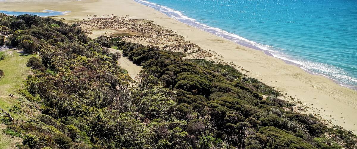A coastal landscape with a sandy beach, turquoise waters, and dense green vegetation.