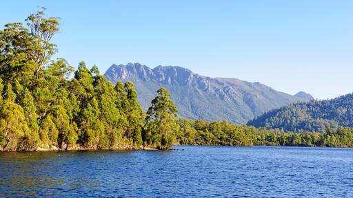 Lake Rosebery in the West Coast Region of Tasmania