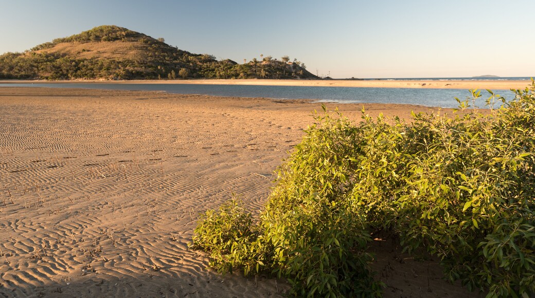The beach at the outlet of Mulambin Creek in golden, evening light.