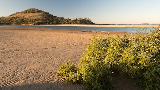 The beach at the outlet of Mulambin Creek in golden, evening light.