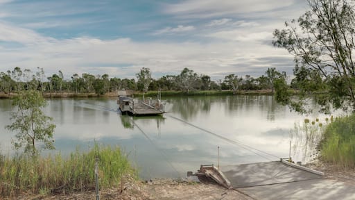 close view of cable ferry approaching the shore on the murray river