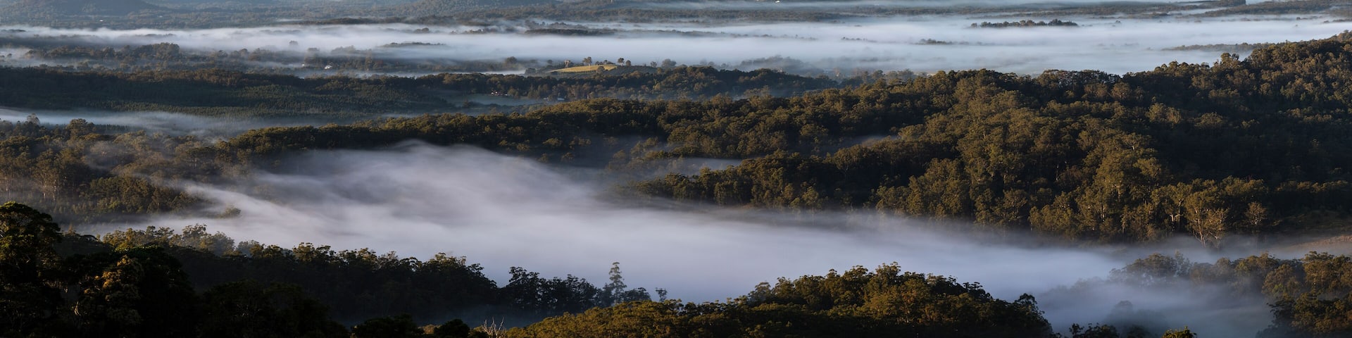 Early morning panorama Glasshouse Mountains