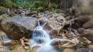 Water stream, waterfall, rocks landscape
